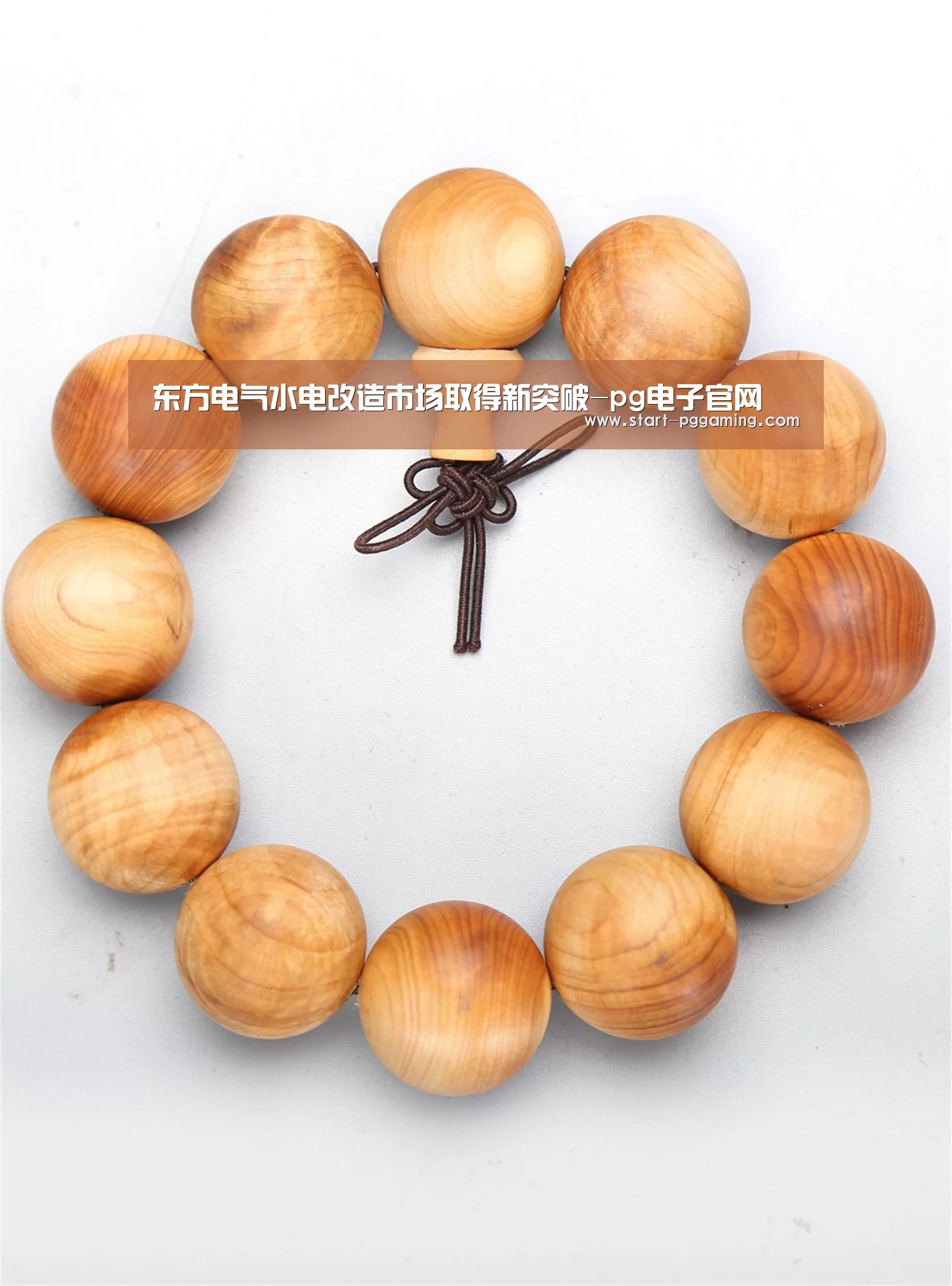 pg模拟器