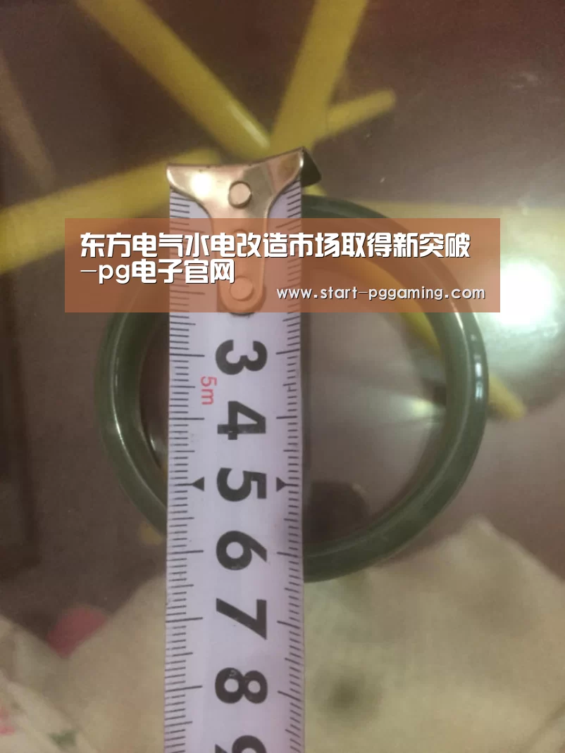 pg模拟器