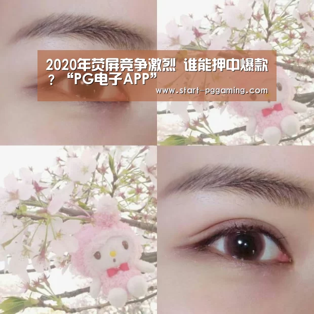 2020年荧屏竞争激烈 谁能押中爆款?“PG电子APP”(图3) pg模拟器