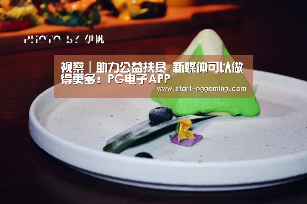 pg模拟器